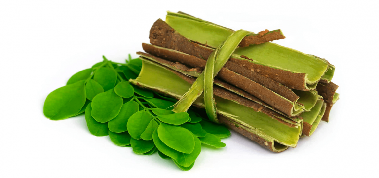Corteza y hojas de moringa